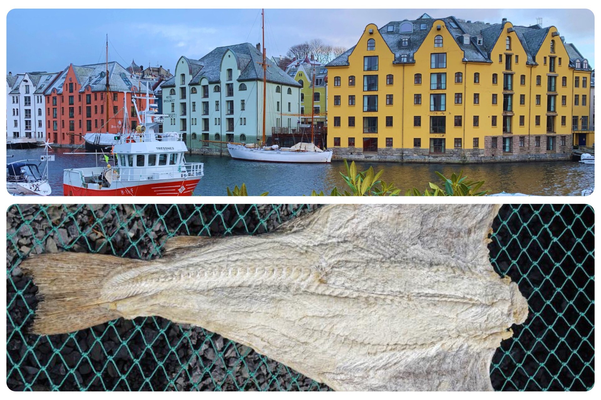 ålesund og klippfisk.jpg