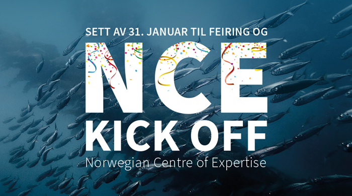 NCE-Kick-off-nyhetsbrev.jpg