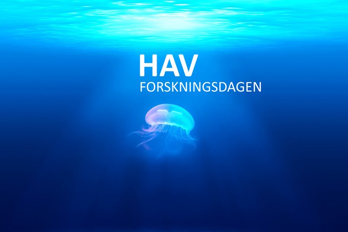 hav_forskningsdagen.png