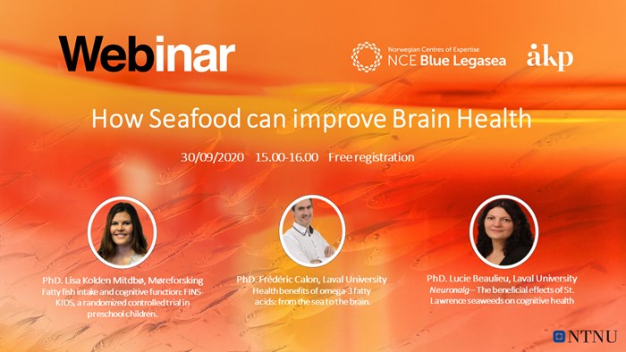 Seafood and brain webinar.png