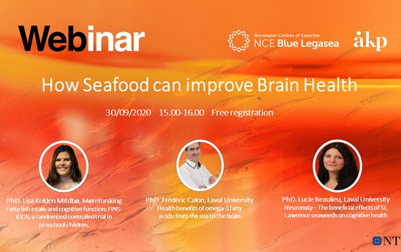 Seafood and brain webinar.png