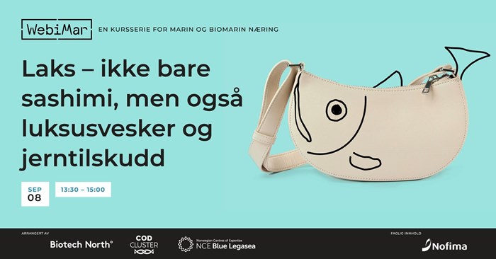 illustrasjonsbilde 2.jpg