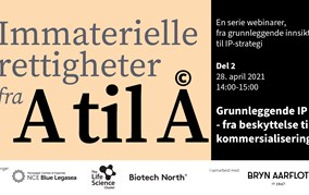 Grunnleggende IP 2 – fra beskyttelse til kommersialisering