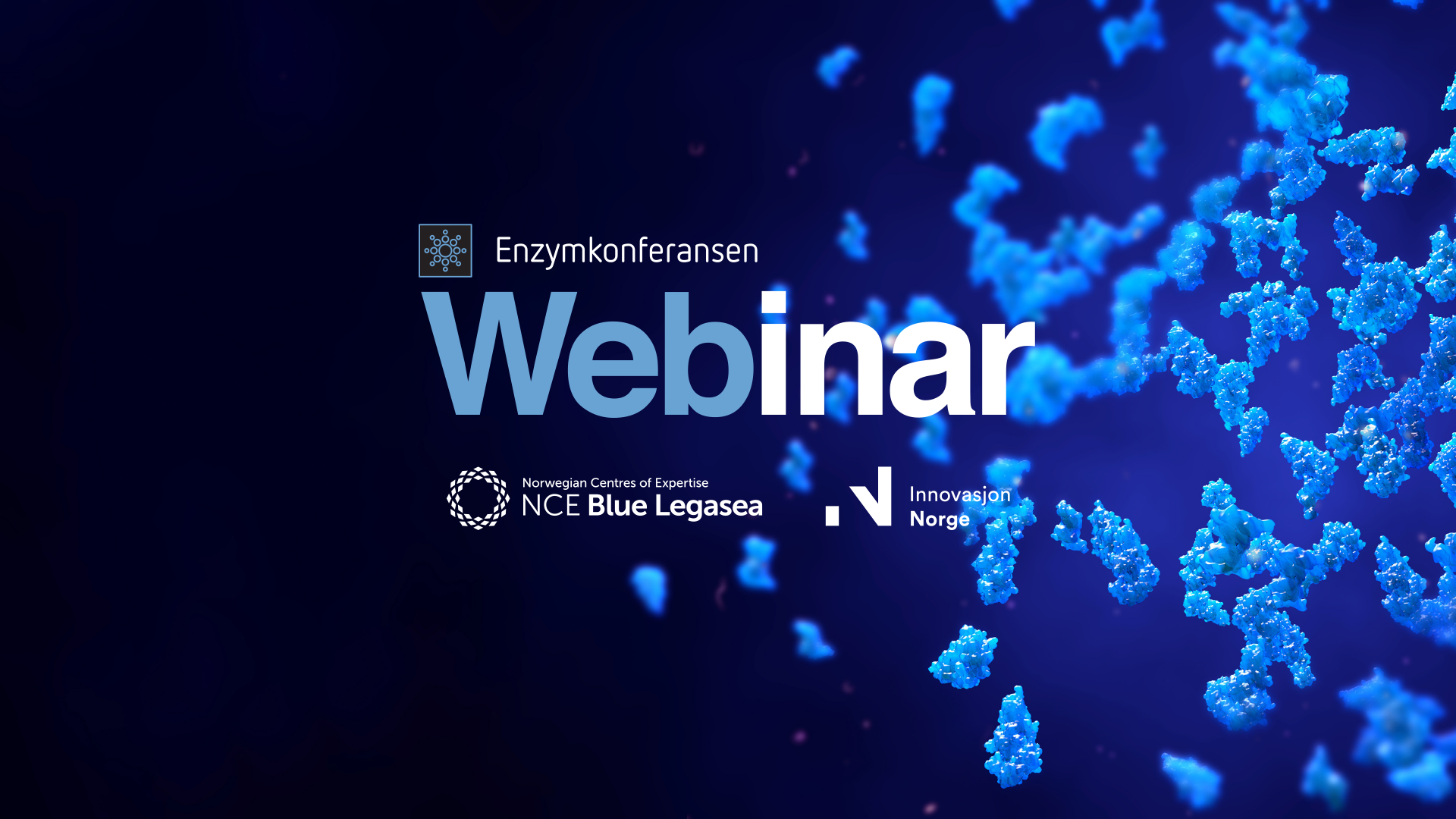 Introduksjon til enzymbasert foredling, prosessvalg og lønnsomhet