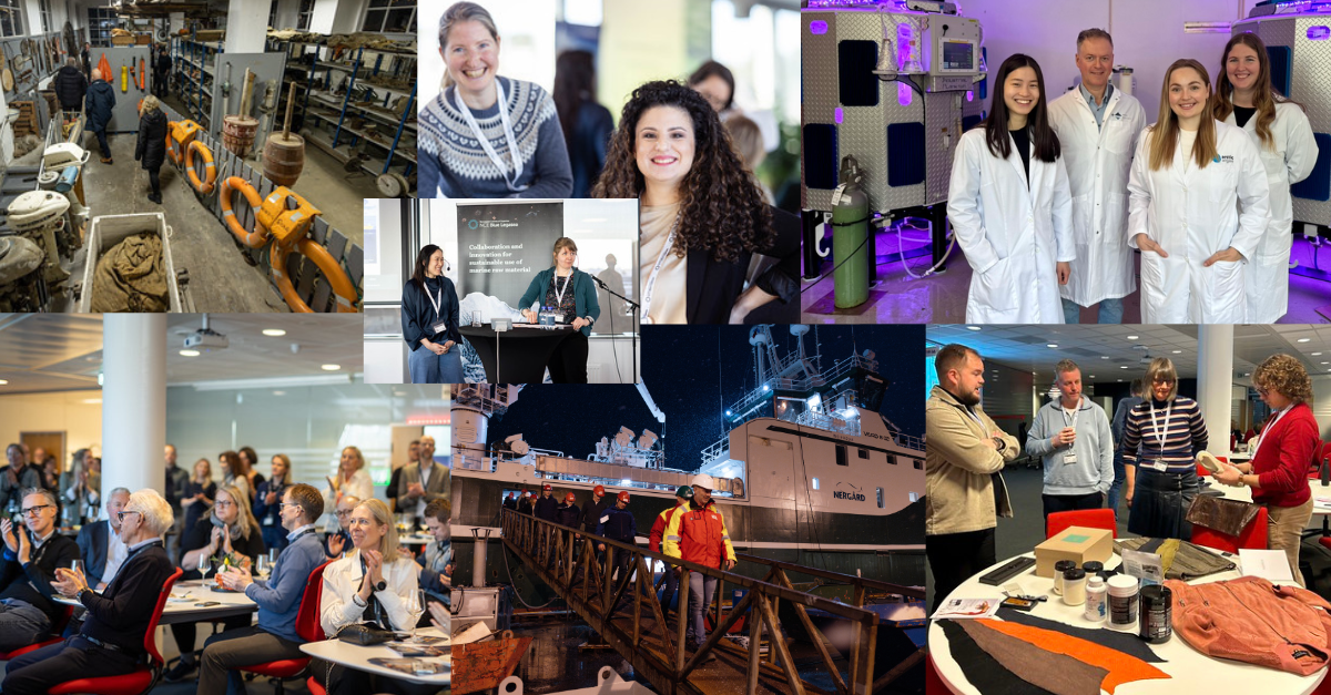 Nyhet! Marin Onboarding: Fra hav til marked – og alt imellom