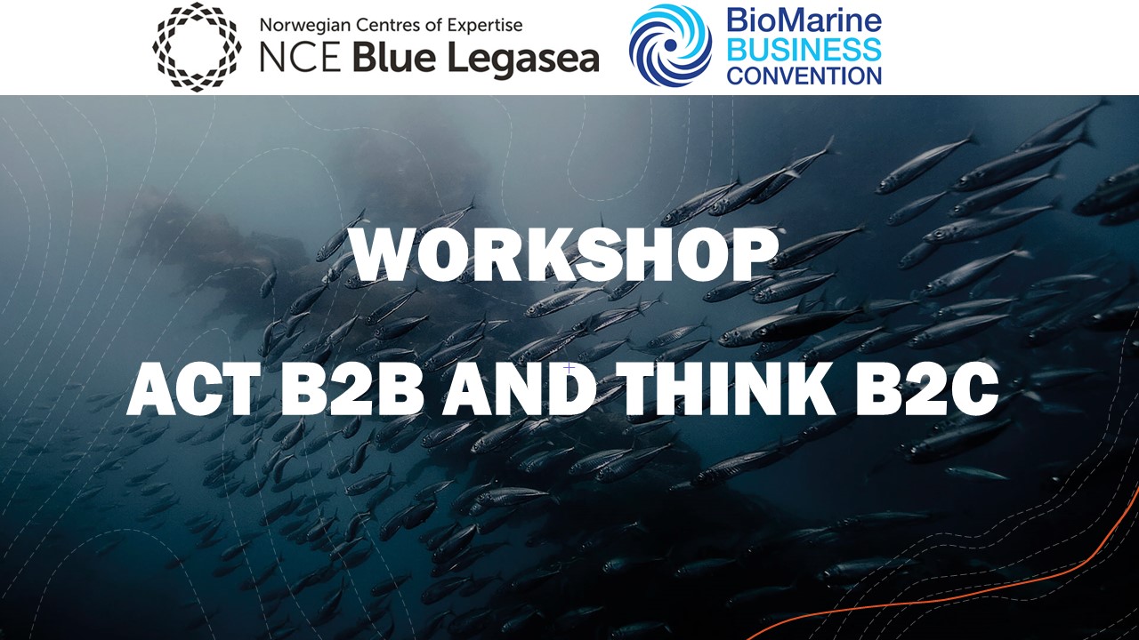 Workshop Act B2B, Think B2C, the Video is out!