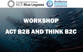 Workshop Act B2B, Think B2C, the Video is out!