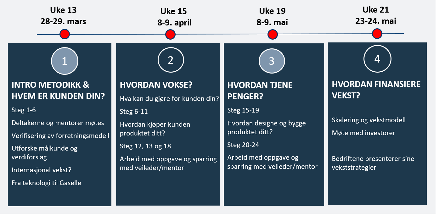 scaleup2 program.png