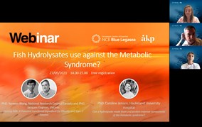 Webinar: Fish Hydrolysates use against the Metabolic Syndrome, the video is out!