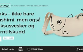 WebiMar 4  Laks- ikke bare sashimi, men også luksusvesker og jerntilskudd